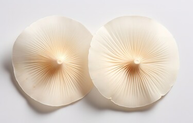 two cut mushrooms in a close-up photo on a white background. generative AI