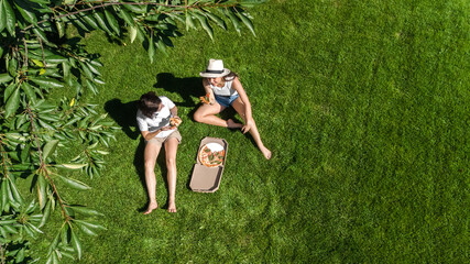 Female friends eating pizza on summer picnic in park, relaxing on grass and having fun, aerial drone view from above
