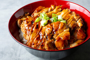 A closeup view of a teriyaki chicken bowl.