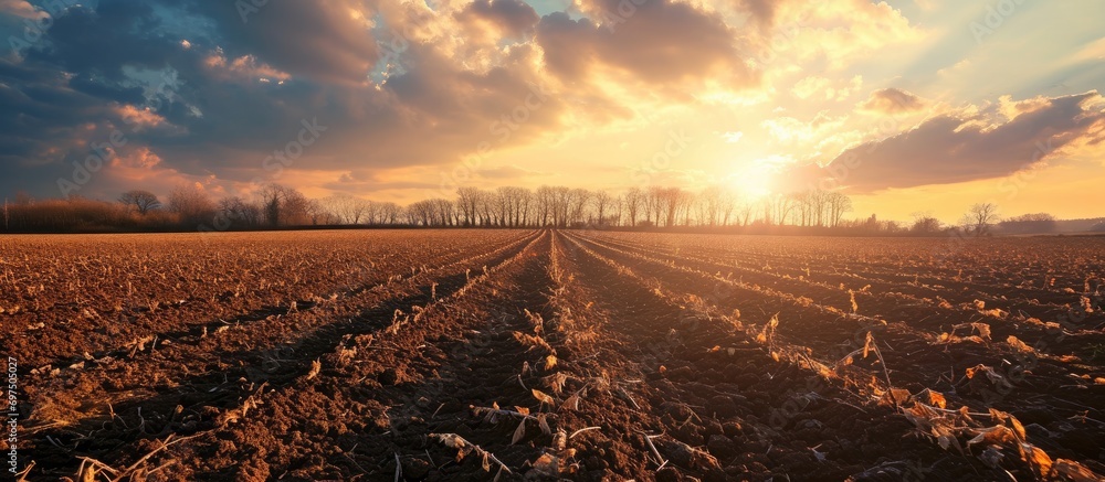 Poster fertile rural field landscape at sunset, before sowing.