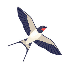 Swallow flies spreading its wings. Vector cartoon illustration of bird. Flat icon.