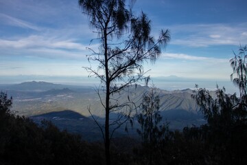 the beauty of the view at the top of a mountain in a tropical area is like a country above the clouds. a view presented when climbing an Indonesian mountain.