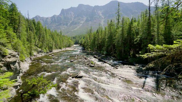 River near Glacier National Park in summer
