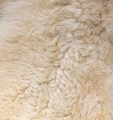White sheep wool as an abstract background. Texture
