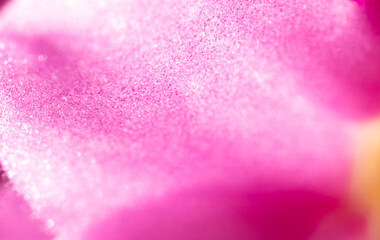 Closeup of a pink flower petal. Macro