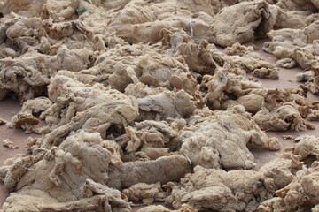Pile of dirty cotton wool. Dried and dirty cotton wool background. Waste cotton wool 