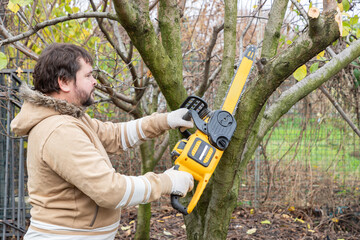 Professional gardener cuts branches on a tree, with using electric battery powered chain saw....
