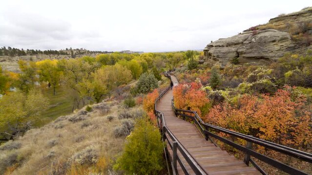 People walk through foliage and rocky bluffs on boardwalk