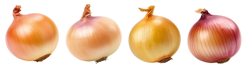 Onion isolated on a Transparent Background PNG