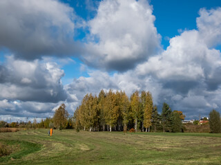 Landscape of autumn scenery with trees with green and yellow leaves with blue sky and clouds above