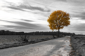Signale des Herbstes