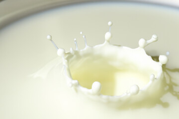 splashes of milk. milk is poured into a white plate, milk splashes on top with a funnel inside, close-up view from above