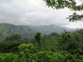 In den Bergen von Sri Lanka bei Ella