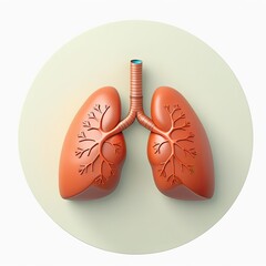 cute 3d cartoon human lung