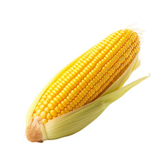 Ear of corn cob isolated on white