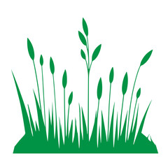 green grass vector