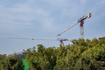 Fototapety na wymiar - Fototapeta24.pl