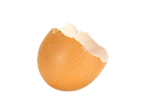 chicken egg shell isolated on white background.