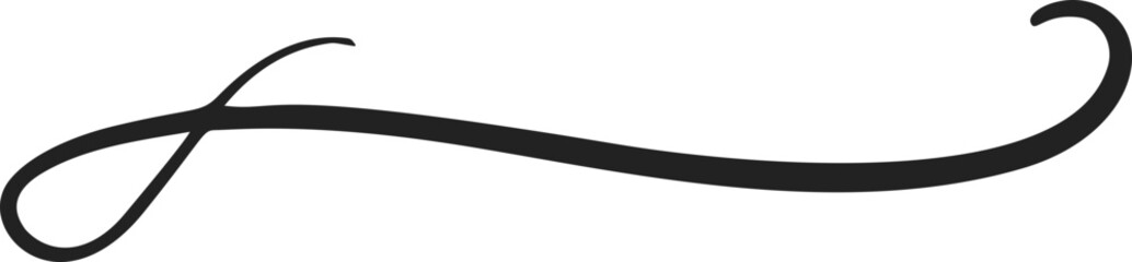 Swash swoop and swish calligraphy sign. Underlines hand drawn stroke