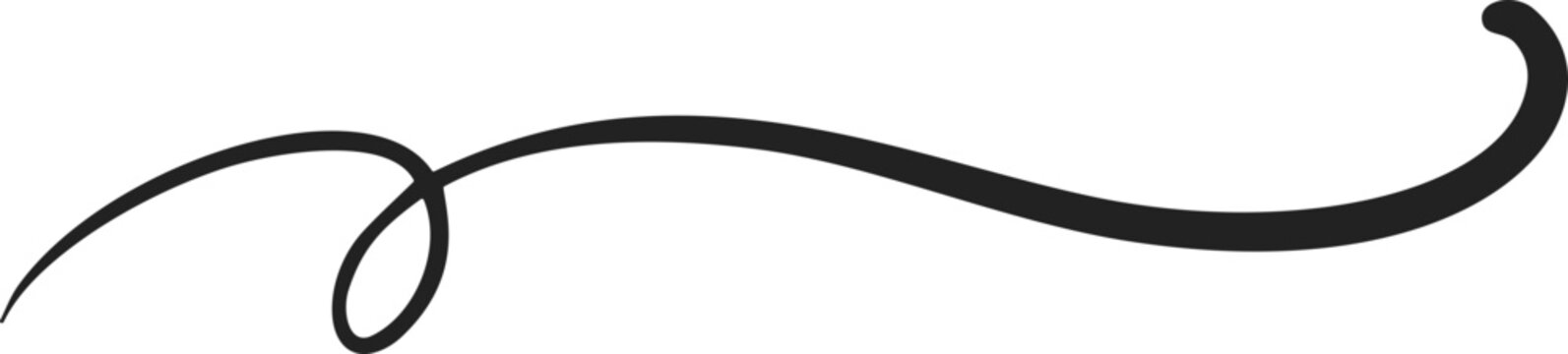 Swash swoop and swish calligraphy sign. Underlines hand drawn stroke
