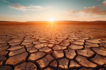 Fotobehang cracked earth in the desert.  © D