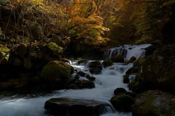 秋の滝のある渓流の風景