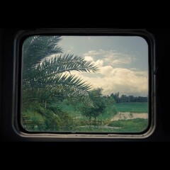 view from the window of a train