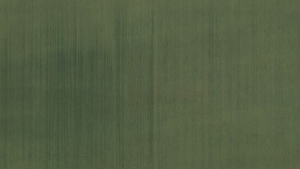 Perpendicular aerial view of a green grass field for architectural landscape design texture
