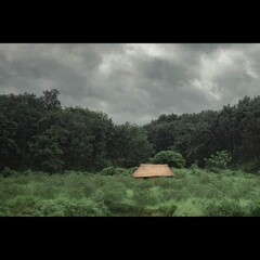 a local village view with a taste of beauty of nature 