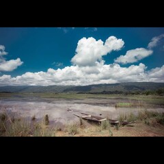 a local village view with a taste of beauty of nature 
