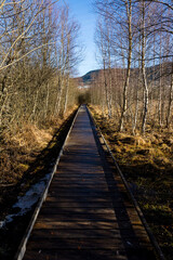 Marais de Vaux, et son cheminement en bois, sur le Plateau d&rsquo;Hauteville en hiver
