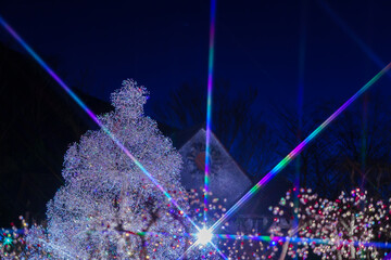 箱根のクリスマスのイルミネーション