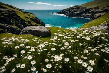 A 105mm lens detailed image of delicately balanced stones on a green lawn, adorned with sparse cosmos flowers, contrasting against a wide ocean view and blue sky.
