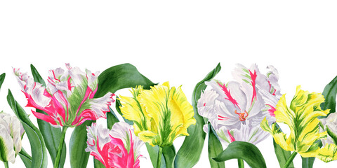 Flower banner. Seamless spring pattern. Watercolor white green tulip with bright pink and yellow. Hand drawn illustration isolated on transparent.