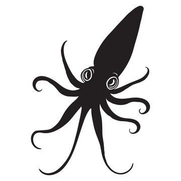 Squid silhouettes and icons. black flat color simple elegant white background Squid fish animal vector and illustration.