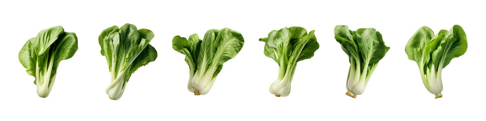 collection of bok choy vegetables isolated on a transparent background - obrazy, fototapety, plakaty