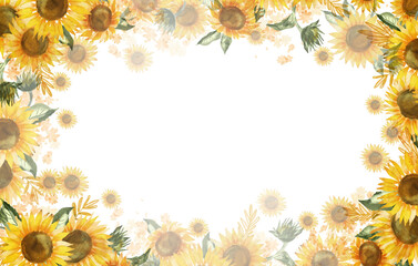 Watercolor sunflower PNG transparent background. Digitally hand painted illustration