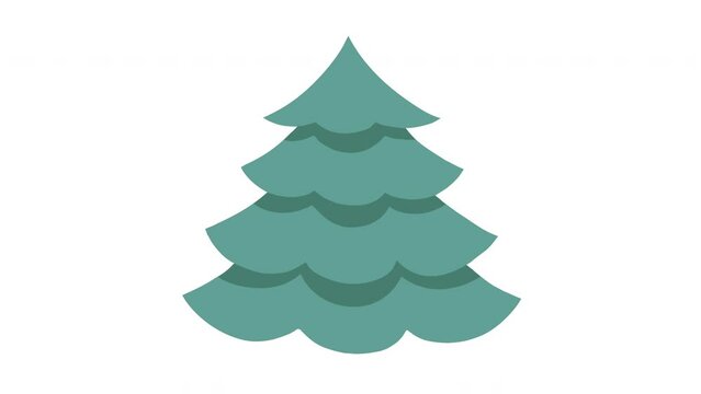 Animated Christmas Isolated Tree Motion Design Element. Flat style animated pine tree isolated on white background. Christmas tree. Cypress tree design element