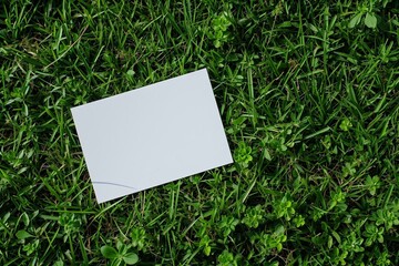 A4 Sheet Mockup Presentation for Professional Graphics Display