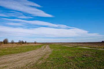 A scenic view of a dirt road in a field with a blue sky.