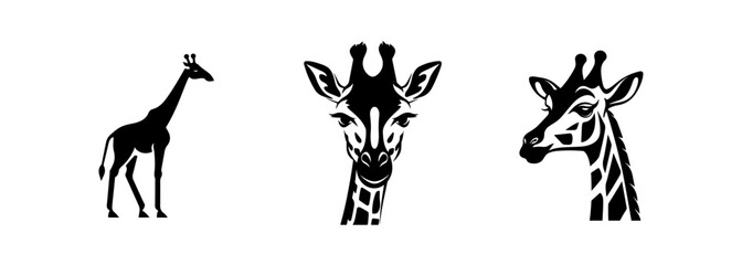 Giraffe illustration, logo. Vector icon drawing on white background