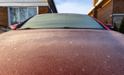 Morning frost on a car