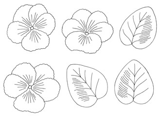 Violet flower graphic black white isolated sketch illustration vector 
