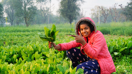 Spinach leaves in kid's hands. Little girl holds green fresh organic spinach leaves and showing thumbs up. Homegrown.