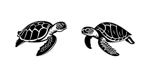 Turtle illustration, logo. Vector icon drawing on white background