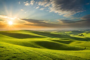 Obraz premium sunset over field