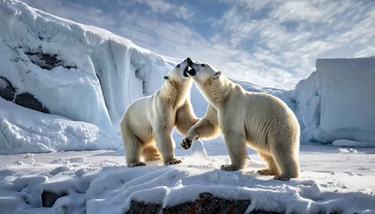 Keuken spatwand met foto Two strong polar bears are fighting on the snowy surface of a glacier. Generated with AI © maticsandra