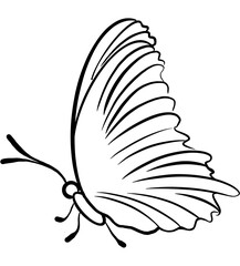 Butterfly Line art illustration