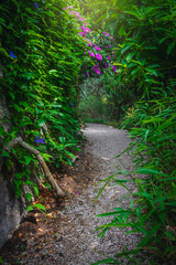 Winding gravel pathway in the botanical garden, Menton, France