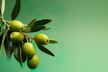 Green olives with leaves copy space background 